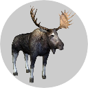 Badge_Elk.png