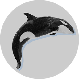 Badge_KillerWhale.png