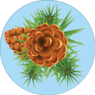 Badge_Pine.png