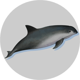 Badge_Porpoise.png